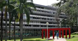 USP-quando-uma-derrota-política-vira-uma-autoridade-global-do-conhecimento